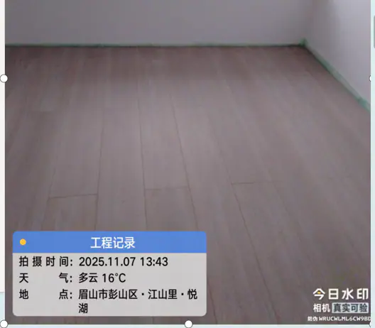 致雅系列 LC-205 木地板 效果图 2